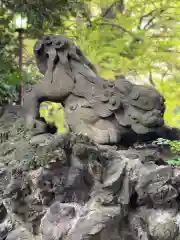 赤坂氷川神社の狛犬