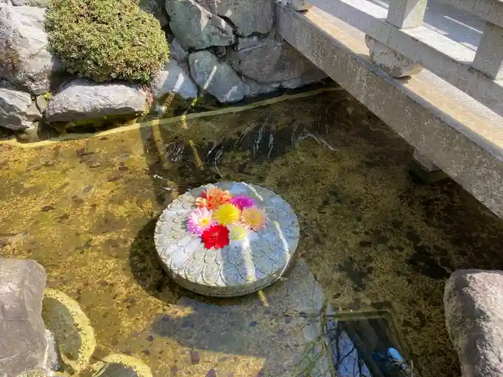 岡寺(龍蓋寺)(奈良県)