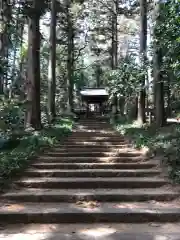 大雄寺の山門