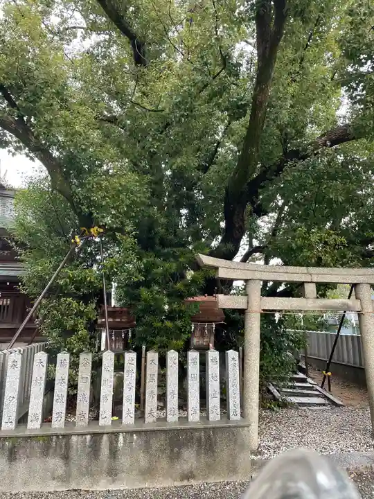 金岡神社の自然