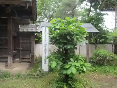 自性寺(群馬県)