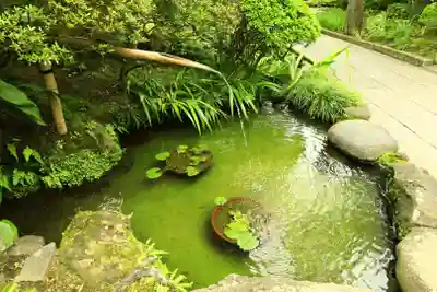 報国寺(神奈川県)