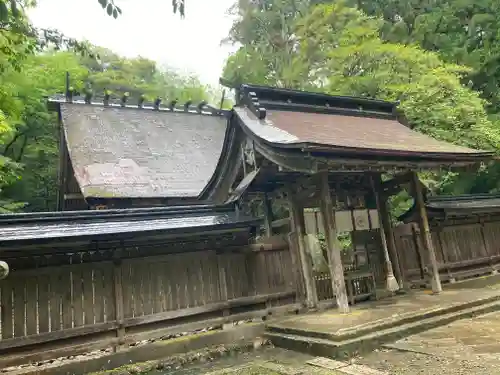 若狭彦神社（上社）の本殿・本堂