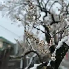 榴岡天満宮(宮城県)