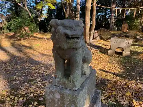 建市神社の狛犬