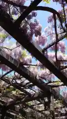 相馬神社の自然