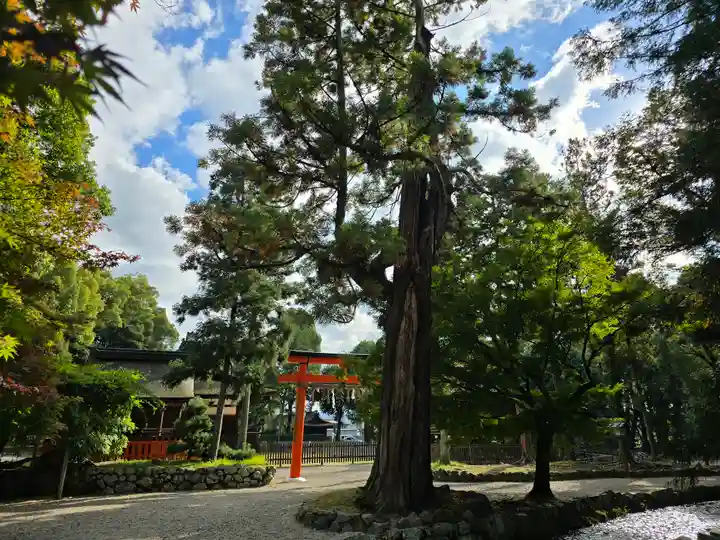 賀茂別雷神社(上賀茂神社)(京都府)