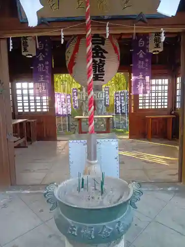 白金龍王社(愛知県)