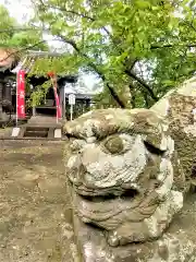 福島八幡宮の狛犬