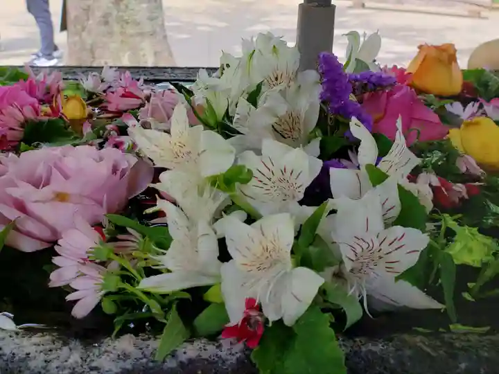 鳩森八幡神社(東京都)
