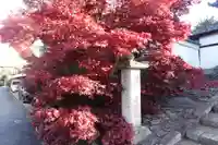 光明院(光明禅院)(京都府)