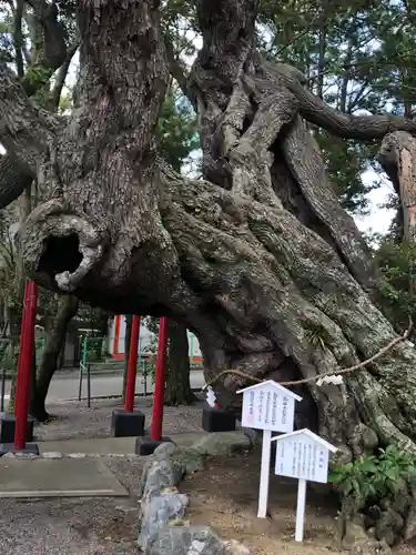 高塚熊野神社の庭園