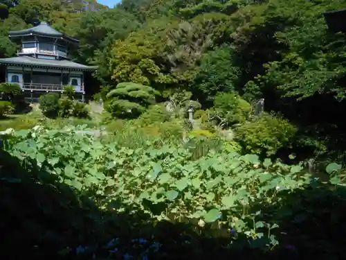 光明寺の庭園