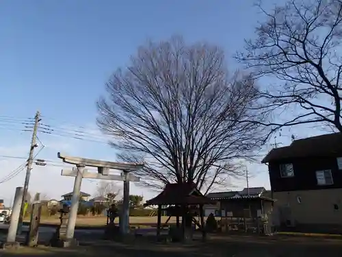 稲荷神社の鳥居