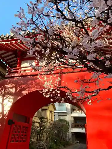 海蔵寺の山門