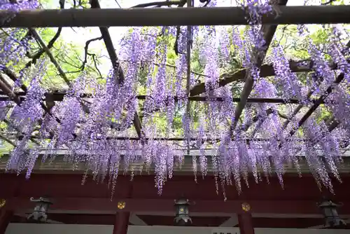 笠間稲荷神社の庭園