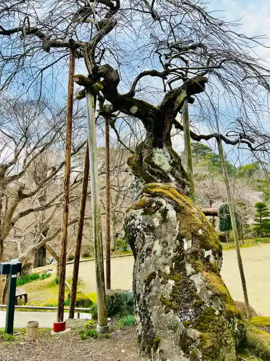 馬頭院(栃木県)