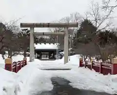 札幌護國神社の鳥居