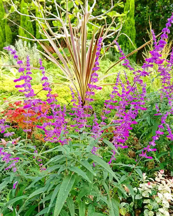 寿量山 速成寺の自然