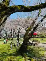 守りの神 藤基神社(新潟県)