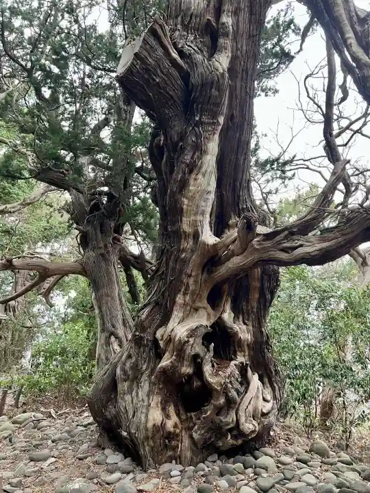大瀬神社(静岡県)