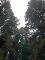 大宮温泉神社(栃木県)