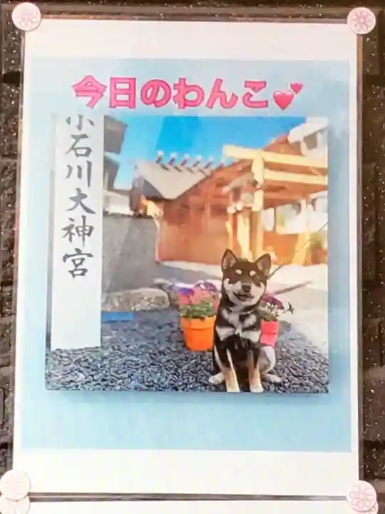 【閉業】小石川大神宮(東京都)