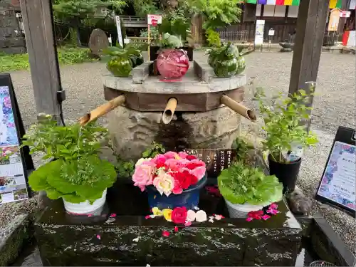 深大寺(東京都)