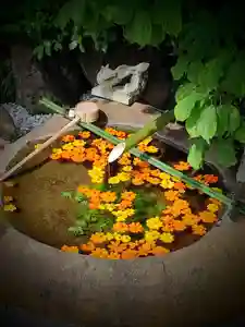 東京羽田 穴守稲荷神社の手水舎(2022年07月23日(土) 09時29分53秒投稿)