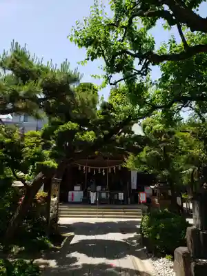 鳩森八幡神社の本殿・本堂