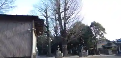 春日部八幡神社(埼玉県)