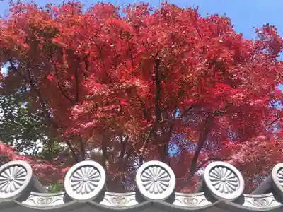 宝鏡寺(京都府)