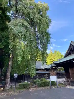 仙台東照宮(宮城県)