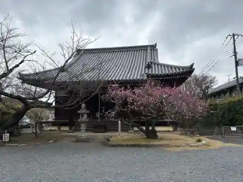 真正極楽寺（真如堂）の{uncategorized: "未分類", other: "その他", undefined: "問題あり", building: "その他建物", grave: "お墓", sacred_gate: "鳥居", guardian: "狛犬", statue: "像", buddha: "仏像", history: "歴史", nature: "自然", garden: "庭園", animal: "動物", pagoda: "塔", temizu: "手水舎", mountain_gate: "山門・神門", sanctuary: "本殿・本堂", subordinate: "末社・摂社", art: "芸術", scenery: "景色", jizo: "地蔵", ema: "絵馬", goshuin: "御朱印", omikuji: "おみくじ", items: "授与品その他", amulet: "お守り", goshuincho: "御朱印帳", eats: "食事", festival: "お祭り", votive_dance: "神楽", shichigosan: "七五三参", wedding: "結婚式", experience: "体験その他", initially: "初詣", around: "周辺", anti_infection: "感染症対策"}