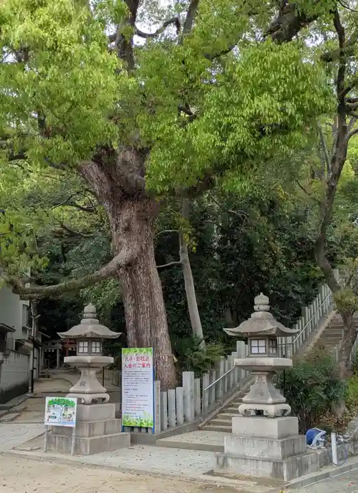 垂水神社(大阪府)