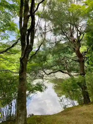 龍安寺(京都府)