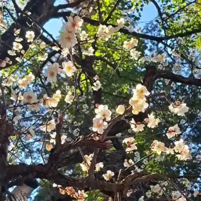 円覚寺の{uncategorized: "未分類", other: "その他", undefined: "問題あり", building: "その他建物", grave: "お墓", sacred_gate: "鳥居", guardian: "狛犬", statue: "像", buddha: "仏像", history: "歴史", nature: "自然", garden: "庭園", animal: "動物", pagoda: "塔", temizu: "手水舎", mountain_gate: "山門・神門", sanctuary: "本殿・本堂", subordinate: "末社・摂社", art: "芸術", scenery: "景色", jizo: "地蔵", ema: "絵馬", goshuin: "御朱印", omikuji: "おみくじ", items: "授与品その他", amulet: "お守り", goshuincho: "御朱印帳", eats: "食事", festival: "お祭り", votive_dance: "神楽", shichigosan: "七五三参", wedding: "結婚式", experience: "体験その他", initially: "初詣", around: "周辺", anti_infection: "感染症対策"}