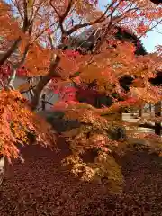 東福禅寺（東福寺）の景色