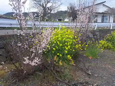羯諦寺(大分県)