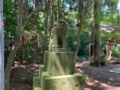 橿原神宮の狛犬