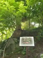 石都々古和気神社の自然