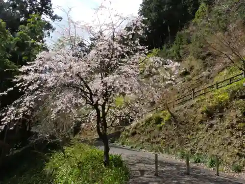 横蔵寺(岐阜県)