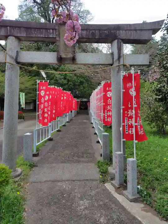 白髭神社(群馬県)