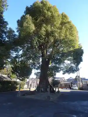 五社神社(滋賀県)