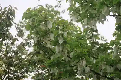 古峯神社の庭園