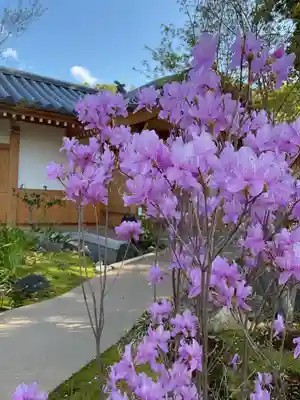 八事山 興正寺(愛知県)