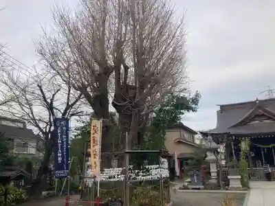 矢向日枝神社の{uncategorized: "未分類", other: "その他", undefined: "問題あり", building: "その他建物", grave: "お墓", sacred_gate: "鳥居", guardian: "狛犬", statue: "像", buddha: "仏像", history: "歴史", nature: "自然", garden: "庭園", animal: "動物", pagoda: "塔", temizu: "手水舎", mountain_gate: "山門・神門", sanctuary: "本殿・本堂", subordinate: "末社・摂社", art: "芸術", scenery: "景色", jizo: "地蔵", ema: "絵馬", goshuin: "御朱印", omikuji: "おみくじ", items: "授与品その他", amulet: "お守り", goshuincho: "御朱印帳", eats: "食事", festival: "お祭り", votive_dance: "神楽", shichigosan: "七五三参", wedding: "結婚式", experience: "体験その他", initially: "初詣", around: "周辺", anti_infection: "感染症対策"}