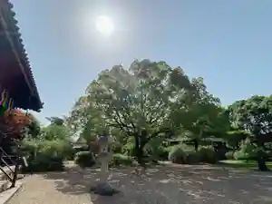 海龍王寺(奈良県)(2025年05月03日(土) 09時36分29秒投稿)