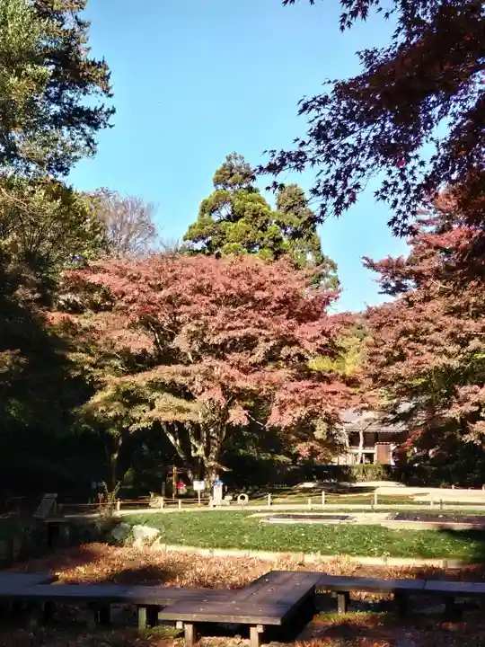 明月院(神奈川県)