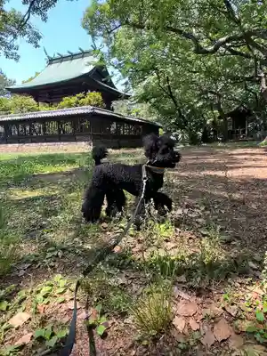 篠山神社の周辺
